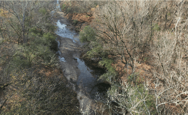 Restoration Memorial & Preserve Community Meeting Set for February 25